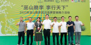 巫山脆李亮相武汉 成功签约600吨