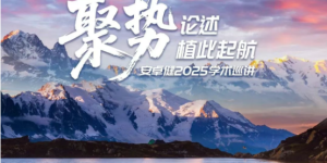 重庆牙博士口腔医院十五载深耕启新程，跨国协同铸行业典范