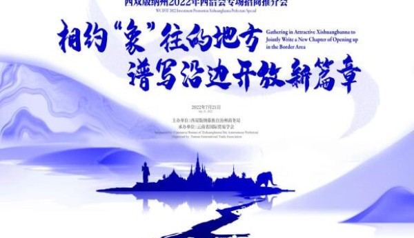 战略优势：一份解读西双版纳州项目要素的指南